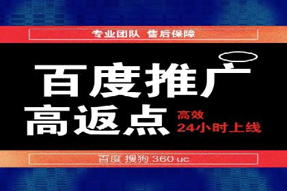 案例展示：SEM账户托管服务成果